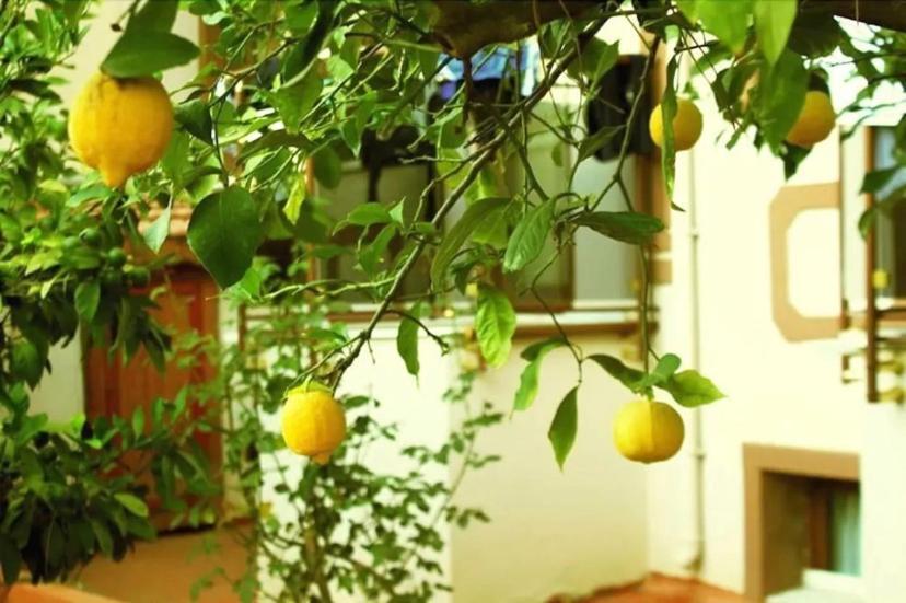 Boncuklu Otel Oludeniz Ngoại thất bức ảnh